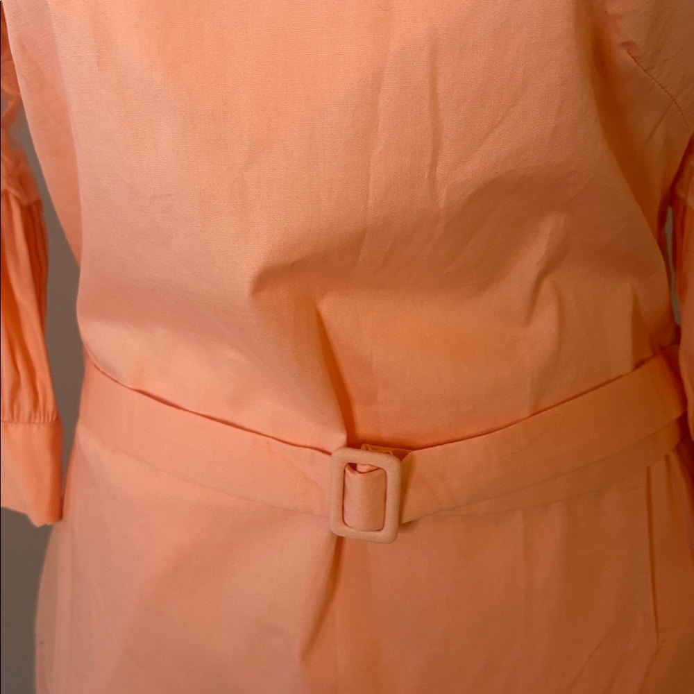[Esley] Coral Puff Sleeve Dress - Size Small NWT - Picture 3 of 6